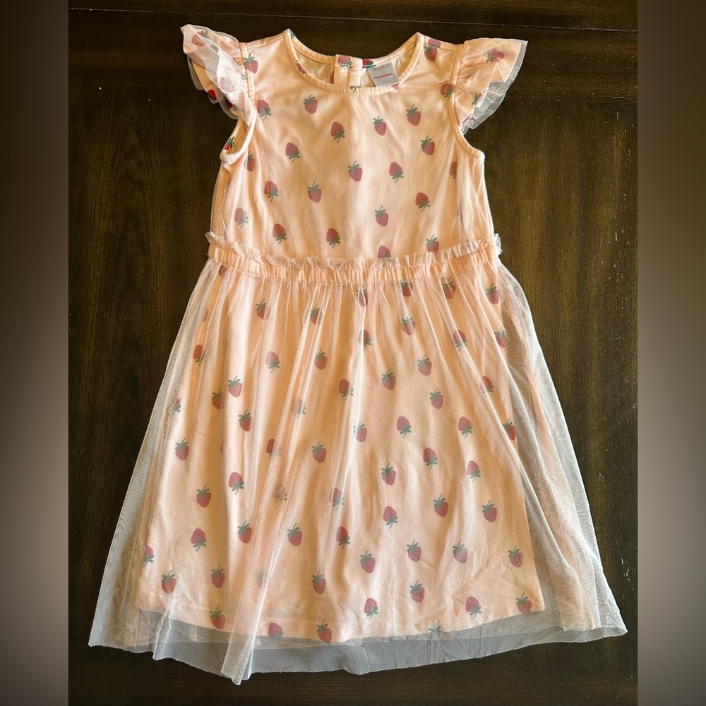Hanna Andersson Tulle Dress